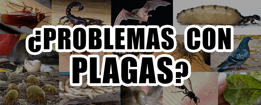 banner.control.plagas